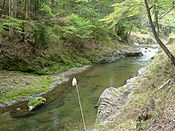 久多川の清流