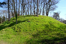 Mottenhügel im Château d'En-Bas