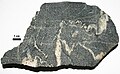 Migmatite