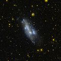 NGC 2366 en ultraviolet par GALEX.