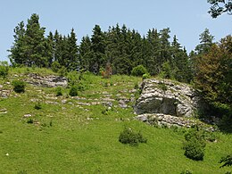 Das felsige Schäfertal, ein Trockental, mit Wacholderheide und Fichten