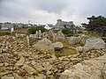 La nécropole mégalithique de la Pointe du Souc'h, vue d'ensemble des dolmens 4