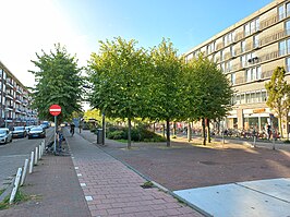 Groen in het Gulden Winckelplantsoen (september 2023)