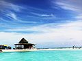 Cayo Acuario. La mayoría los de peces de la isla se encuentran aquí.