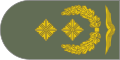 Naramiennik stopnia Generalmajor (Luftwaffe).