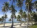 Half Moon Caye