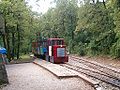 Narrow gauge train