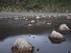 Inside Irazu Volcano, Costa Rica (Diego de la Haya Crater) - Daniel Vargas.jpg