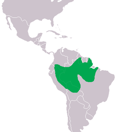 Distribución del caimán negro