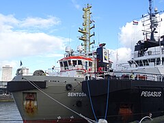 Sentosa (tugboat, 2001) and Pegasus (tugboat, 2009) - Lekhaven - Port of Rotterdam - moored - 2019 - pic1.jpg