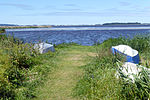 Tåkern från den sydöstra stranden.