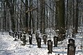 Waldfriedhof (Soldatenfriedhof)