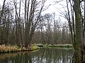 in Unterspreewald and the river Groß Wasserburger Spree, Germany