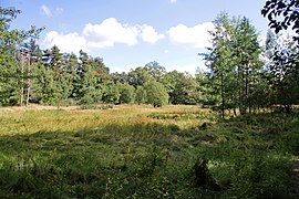 Quellwiese im renaturierten Tanklager