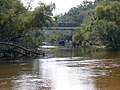 Looking SW at Gadsden CR157 crossing Ochlockonee River, NW of Tallahassee FL.