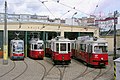 Viyana'daki tramvaylar dünyadaki var olan en büyük tramvay ağlarındandır.