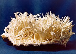 Coraloide: en forma de coral, como en el aragonito.