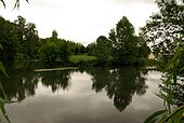 Photographie du confluent de deux rivières entre des berges herbeuses.