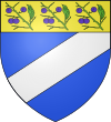 Blason