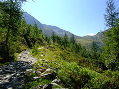 Col de Balme, Tour du Mont Blanc