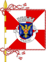 Bandeira de Penafiel