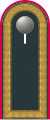 a. Dark grey shoulder strap - Heer (here: Stabsunteroffizier armored corps)