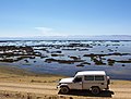 Miniatura para Lago Junín