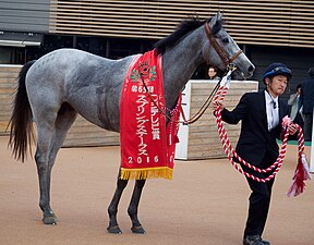 2016年冠軍「洛森山」