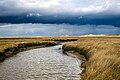 Platz 5: Stephan Sprinz - Die Ostplate Spiekeroogs ist ein Beispiel für eine weitgehend unberührte Naturlandschaft im Nationalpark Niedersächsisches Wattenmeer - Spiekeroog ist eine ostfriesische Insel im Nationalpark Niedersächsisches Wattenmeer. Der Naturfotograf Stephan Sprinz zeigt in seinem Foto die Ostplate Spiekeroogs. Sie ist eine weitgehend unberührte Naturlandschaft. Der Fotograf stellt in seinem Foto die Bestandteile der Landschaft anschaulich dar. Im Hintergrund des Bildes ist die Dünenkette zu sehen, die sich am Nordstrand entlangzieht. Daran schließen sich im Süden weitläufige Salzwiesen an, die von Prielen durchzogen sind. Ein mächtiger Priel ist im Bildvordergrund zu sehen. Dem Fotografen ist es gelungen, nicht nur den Bildungscharakter des Fotos zu erfüllen, sondern auch die spannungsvolle Stimmung des aufziehenden Unwetters in dem Foto einzufangen und so die Wildheit dieses Schutzgebietes hervorzuheben. Die Ruhezone des Schutzgebiets ist Brutgebiet zahlreicher Vögel und darf deshalb außerhalb der Wege nicht betreten werden. Stephan Sprinz’ Fotos entstehen bei amtlichen Bruterfassungen, aus diesem Grund ist er in der Lage, solch exklusive Aufnahmen für unsere Enzyklopädie anzufertigen.