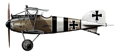 Albatros D.III del tenente Franz Pernet con i colori della Jasta 2 nel 1917.