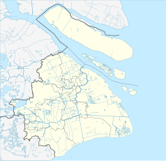 Mapa konturowa Szanghaju, po lewej nieco na dole znajduje się punkt z opisem „Bazylika Sheshan”