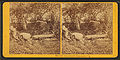 Derelict church yard - Stereoscopic image by Kilburn brothers.