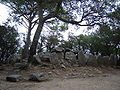 Dolmen Cova d'en Daina (Girona)