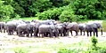 Kamuku National Park Kaduna