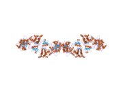 2a27: Human DRP-1 kinase, W305S S308A D40 mutant, crystal form with 8 monomers in the asymmetric unit