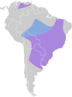 Distribución geográfica del mosquero cejiamarillo.