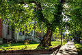 A block of fraternity residences and student housing near the University of Alberta.