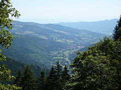 Blick ins Münstertal 140707.JPG