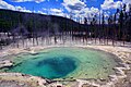 Primavera maragda al Parc Nacional de Yellowstone