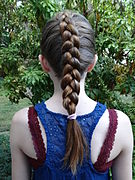 Trenza holandesa