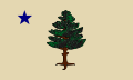 Former flag of Maine during the 1900s