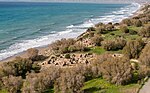 Thumbnail for File:Kommos archaeological site Crete Greece.jpg