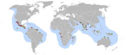 Distribución de Lepidochelys olivacea. Círculos rojos: áreas de puesta. Amarillos: playas de menor importancia.