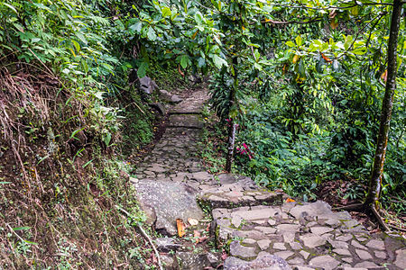 Path to Curug Cipendok