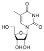 Estructura química de la 5-metiluridina