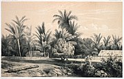 Kasnan di tahitianonan ront 1840