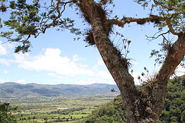 Valle templado Samaipata, Santa Cruz