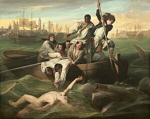 Watson und der Hai (Watson and the shark) (John Singleton Copley)