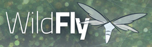 Логотип программы WildFly