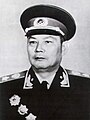 Ye Jianying Ülehiinaline Rahvaesindajate Kogu Alalise Komitee esimees (1978–1983)